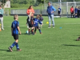 S.K.N.W.K. JO8-1 - M.Z.C. '11 JO8-3 (competitie) 2024-2025 (4e fase) (87/109)